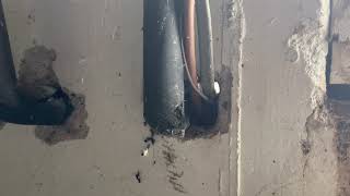 How you can stop mice and rats from getting into your home or business in Northeast Philadelphia