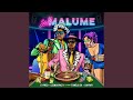 Cyfred & LeeMcKrazy - Saka Malume (feat. Tumelo_za & Sayfar) [Official Audio] Amapiano