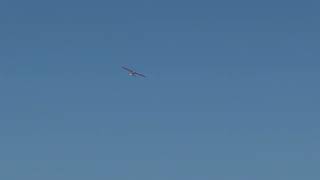 Phoenix model Sonic high wing with 800kv brushless on 4s 2200mAh smart lipo 12x12E APC prop