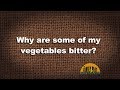 T&J – Mengapa beberapa sayuran saya terasa pahit?