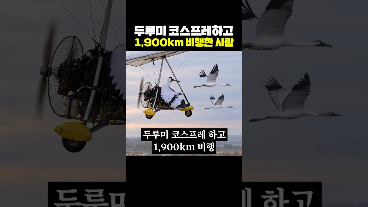 두루미 코스프레하고 1,900km 비행한 사람