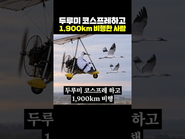 두루미 코스프레하고 1,900km 비행한 사람