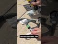 Fix Your Leaky Flex Hose With These Https Amzn To 4kFAxZQ Expandablegardenhose Diy
