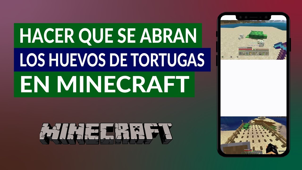 Como Hacer Eclosionar Un Huevo De Tortuga En Minecraft