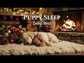 🔴 12 Hours Candlelight Puppy Sleep: Cozy Christmas Fireplace Ambience for Stress Relief HD ✨