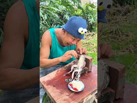 Feeding the Frog Baby Went Wrong! Angry Mommy Started Beating Him”🐸🍬 😱😂