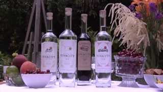 Who is Vivacity Spirits