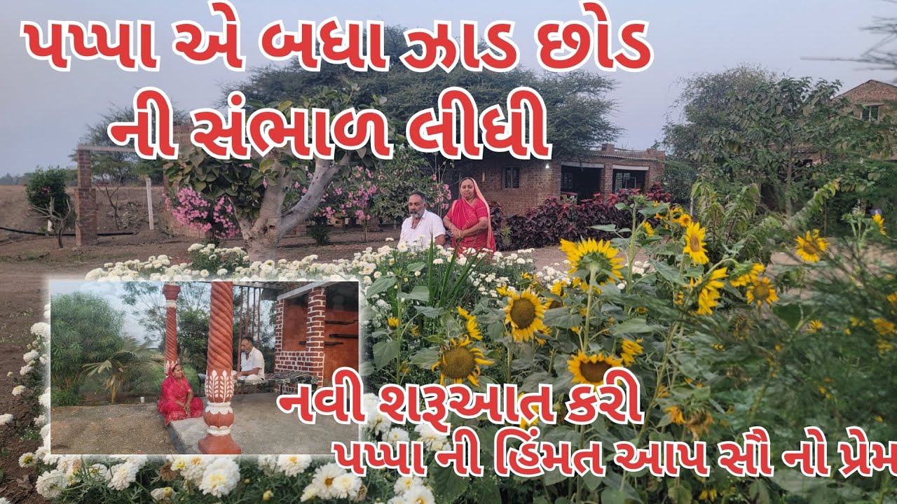 પપ્પા ની હિંમત આપ સૌ નો પ્રેમ | બધા ઝાડ છોડ પણ ખુશ થઈ ગયા | village life |farmer life 
