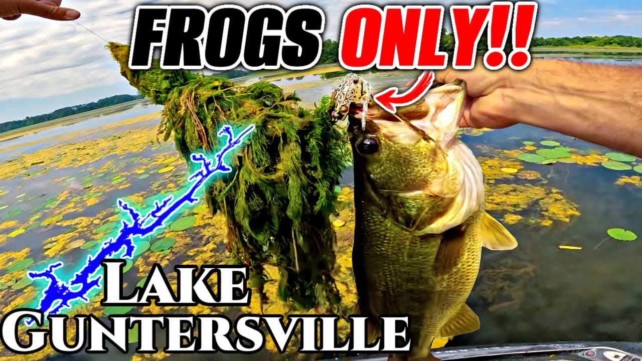 Fishing ONLY Topwater Frogs for a Day!