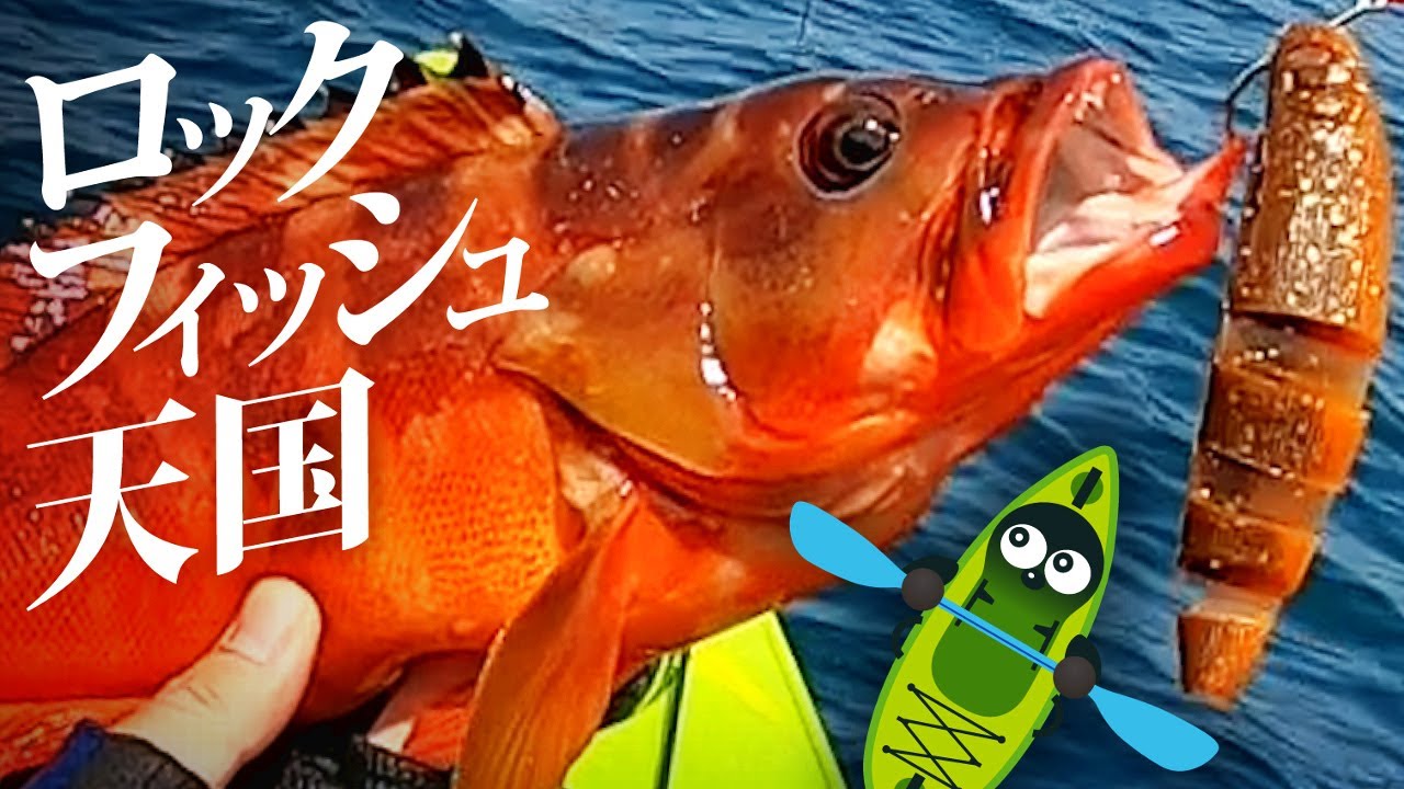 テキサスリグで根魚アカハタを狙う【地磯ロックフィッシュ後編】　6月のカヤックフィッシング