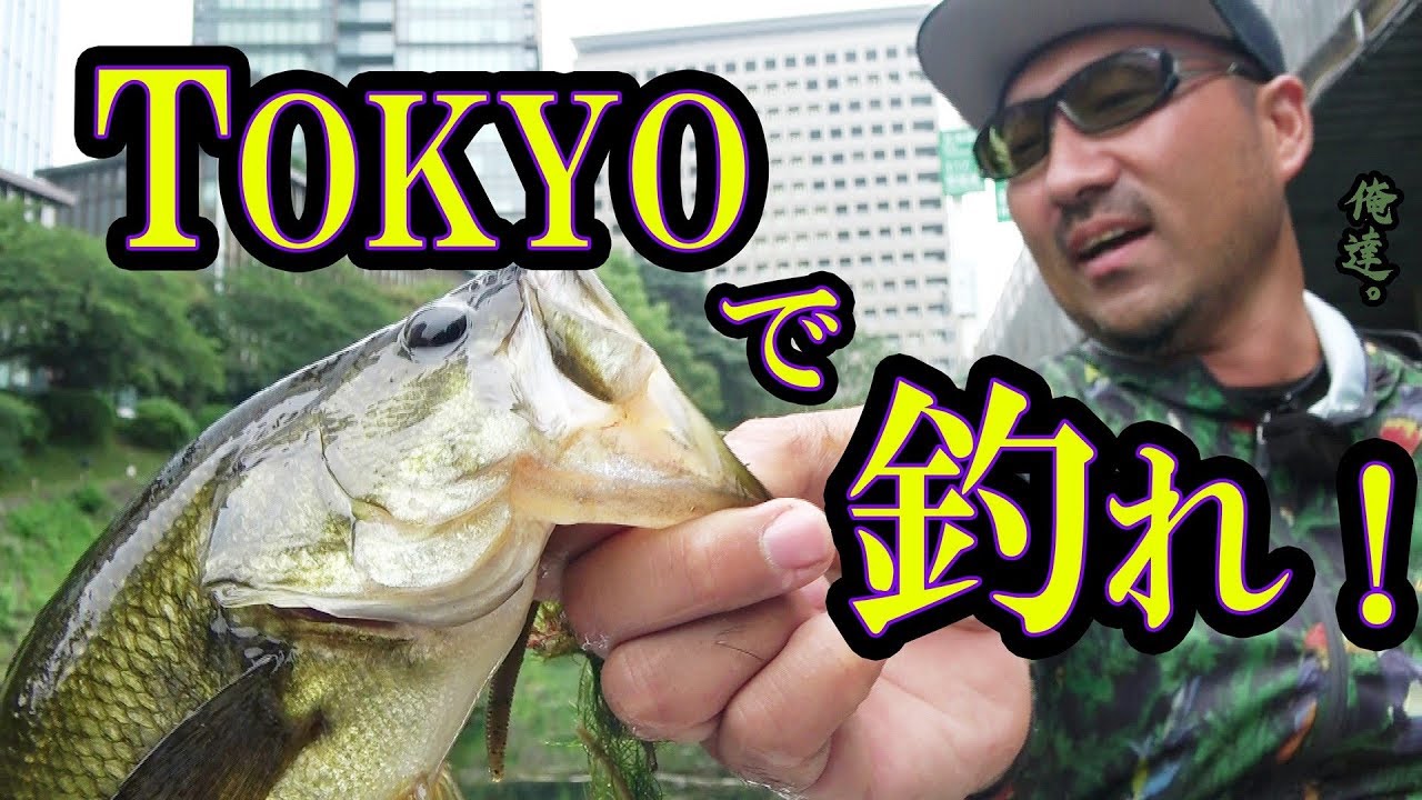 Catch bass right in the heart of Tokyo! [HOOTERS collaboration