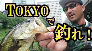 Catch bass right in the heart of Tokyo! [HOOTERS collaboration