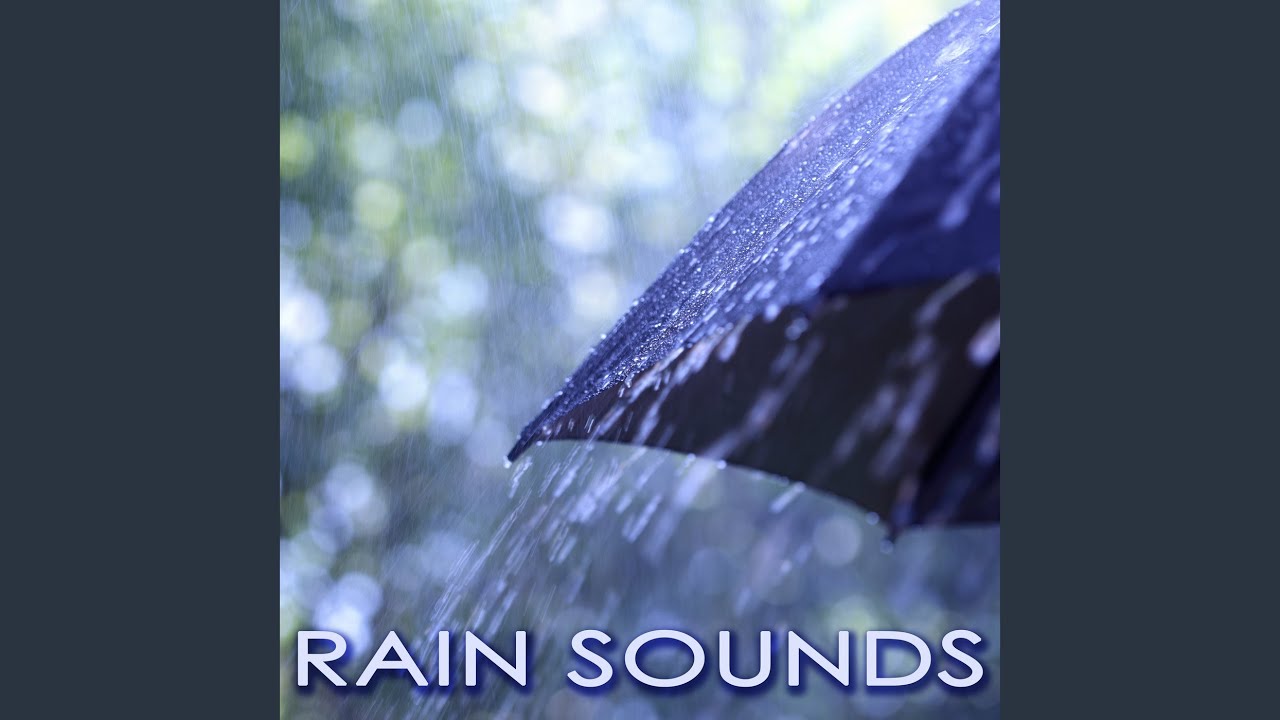 Rain Sounds Rain Sounds