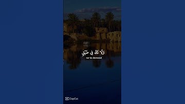 سورة النحل قرآن كريم حالات واتساب #اكسبلور #شورتس #حالات_واتس #shortvideo #قران #قرآن #قرانكريم