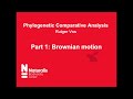 Phylogenetic comparative methods 1: the problem