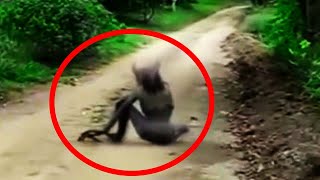 Top 5 Terrifying Demons Found In South America