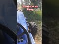 Sunday Morning at my Farms #tractorride #tractorlover
