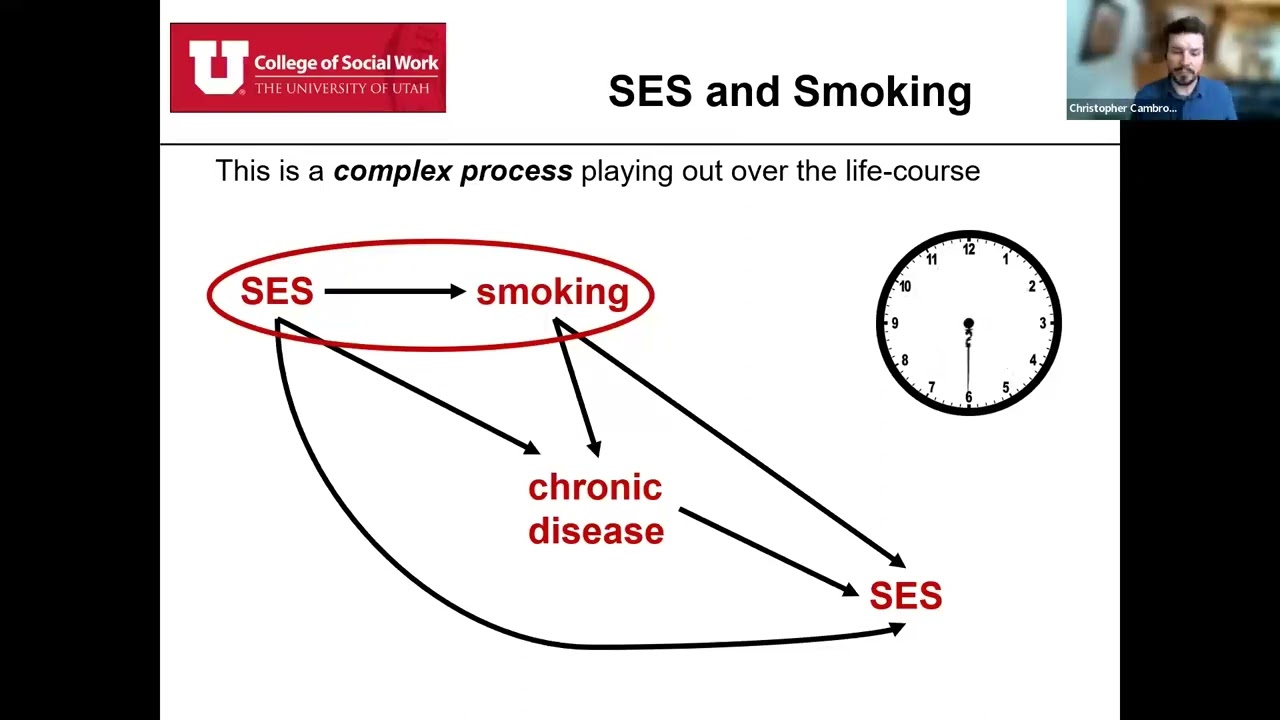 how to process tobacco How to Process Whole Leaf Tobacco into RYO Cigarette Tobacco