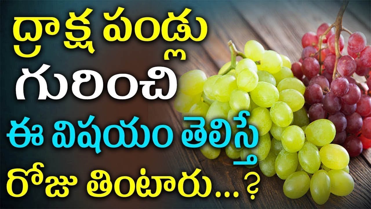 ద్రాక్ష పండ్లు గురించి ఈ విషయం తెలిస్తే రోజు తింటారు Telugu Health
