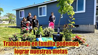 @Vagantedemichoacan Y su familia así ban aplantar sus flores Veremos Como quedará esto