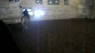 Jesse..the Pony.....