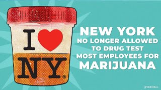 New York No Longer Allowed to Drug Test Most Employees for Marijuana