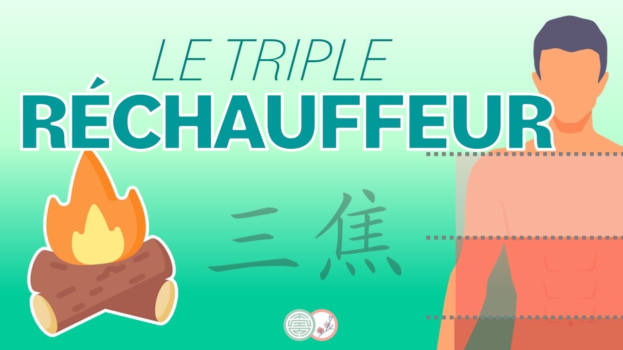 #12 - Le TRIPLE RECHAUFFEUR en Médecine Traditionnelle Chinoise
