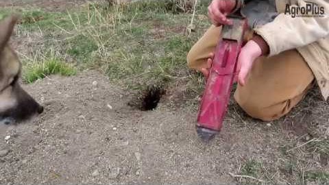 Product Spotlight - Lee