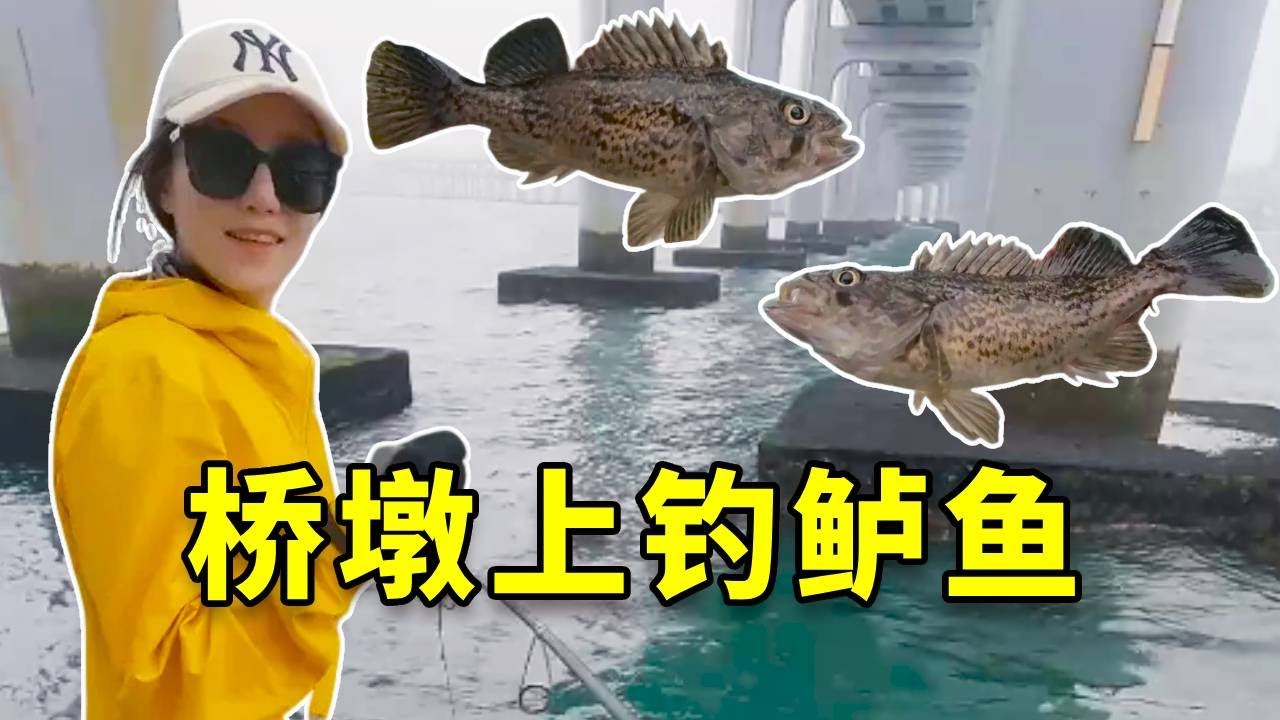 大连巨型鲈鱼泛滥轻轻松松就能血赚?花200块亲自体验,钓上“巨物”那一刻我直接破防了! #大豪夫妇 #钓鱼 #fishing - YouTube