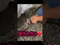 配管工によるマフラー加工！！