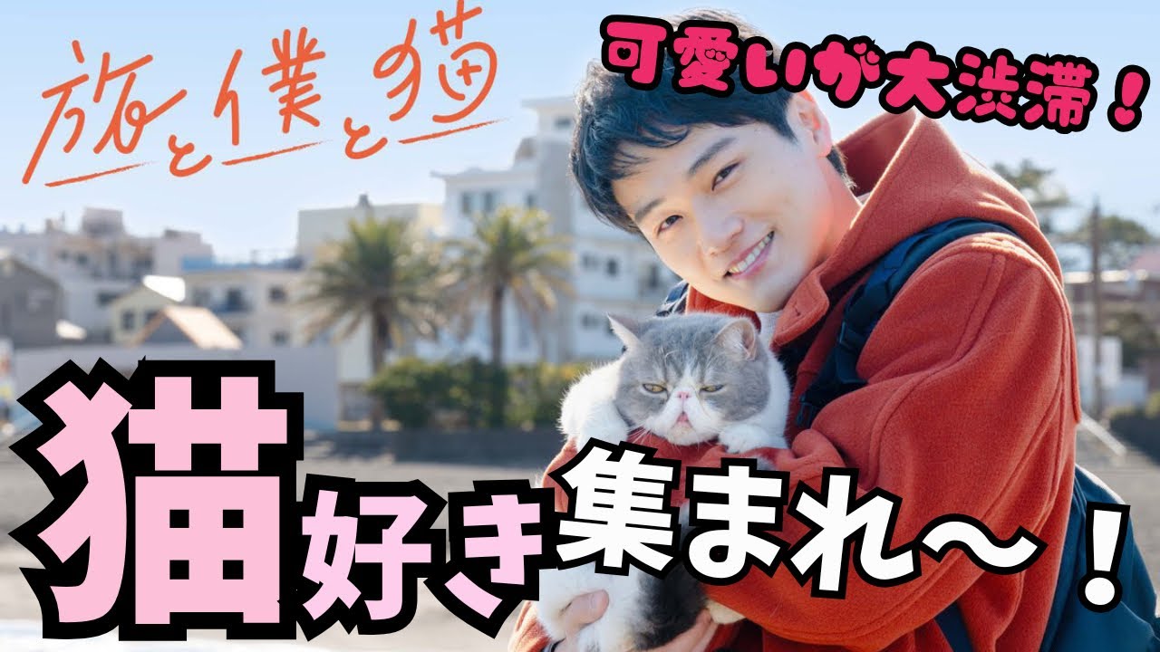 旅と僕と猫】まだ間に合うから見て！リブート出演のネクストブレイク