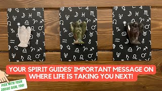 Your Spirit Guides' Important Message on Where Life is Taking You Next! | Timeless Reading