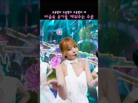마법의 주문 BOOMPALA! Stage Mix HL #lesserafim #kpop #shorts