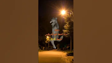 مساء الشطة كلها ايام وتلبس الشنطة 