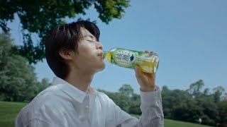【綾鷹のCM】人気のCM・歴代コマーシャルまとめ【2026】