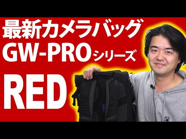 【美品】Hakuba ハクバ カメラリュック カメラバッグ GW-PRO RED