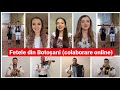 Fetele din Botoșani - Cânt că-mi este lumea dragă (colaborare online)