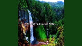 Natures Gift Of Peace