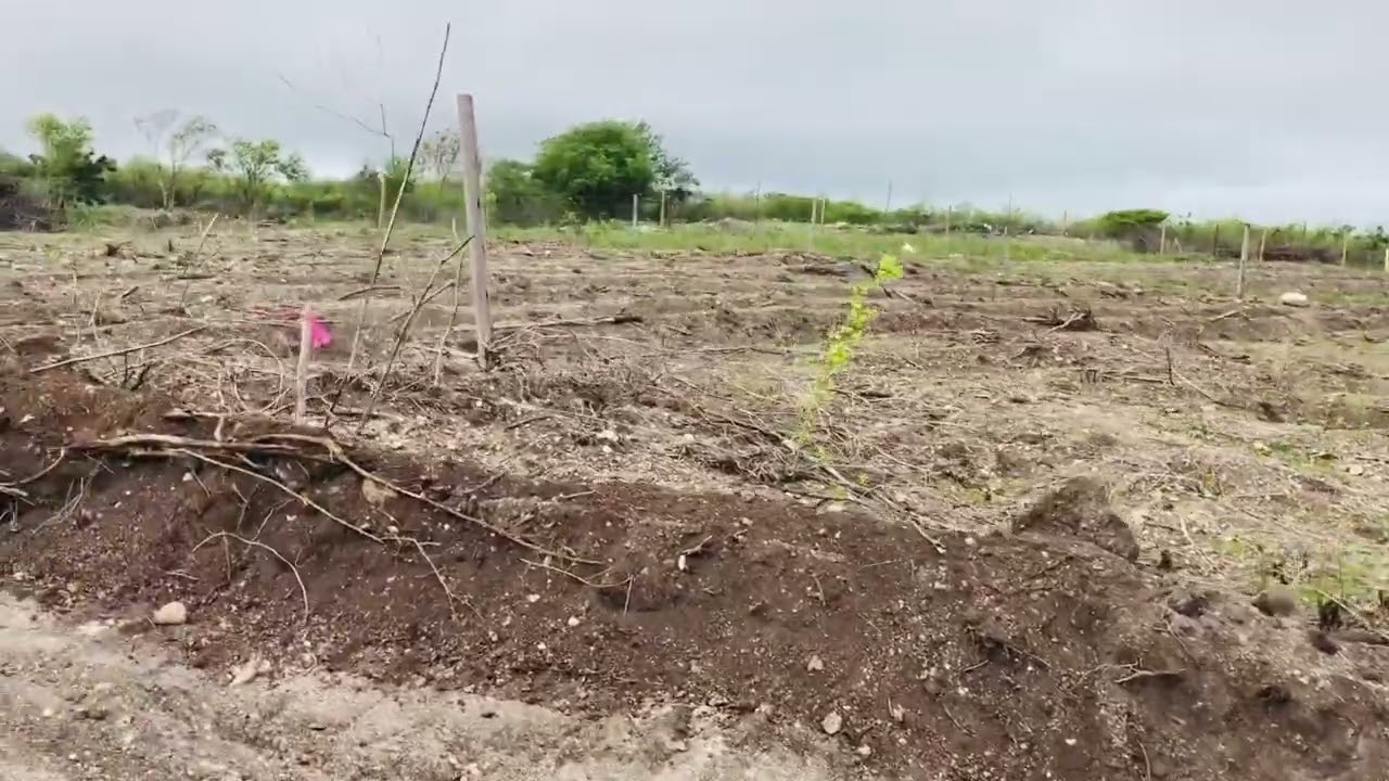 Farmers In Glanvilles Threatened With Eviction