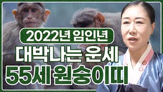 (2022년 운세) 임인년 무조건 대박나는 55세 원숭이띠 운세?! (1968년생 원숭이띠운세 확인하세요) …