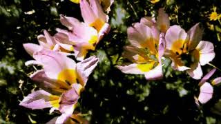 Jordana - You re In The Way (instrumental)
