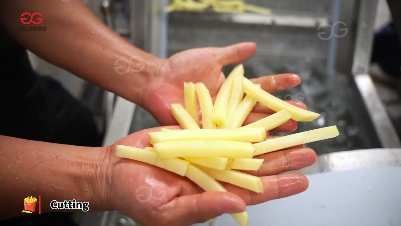 Frozen Potatoes French Fries Production Line 500kg/h