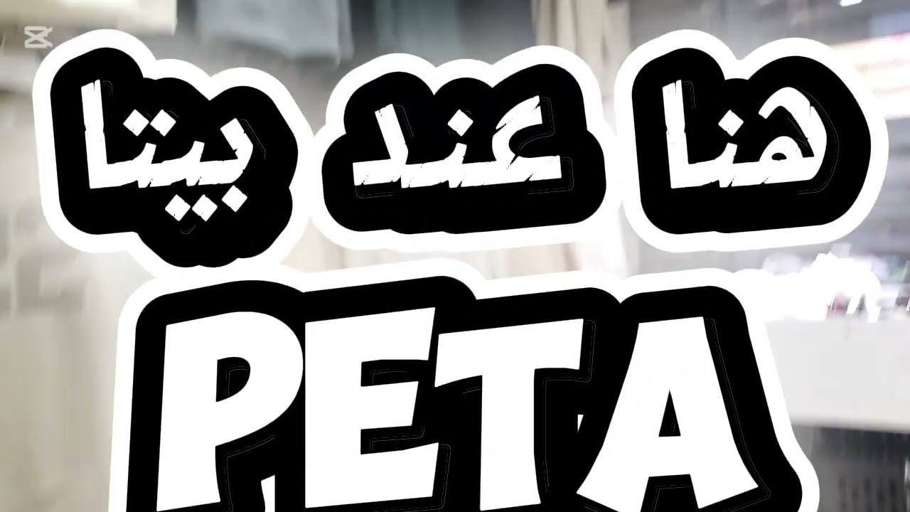 ارواحو ديروا جولة فللبلاد وعندي بيتا ولاية سيدي بلعباس ماعين ولقش  و جودة متراطوش ✅♥️