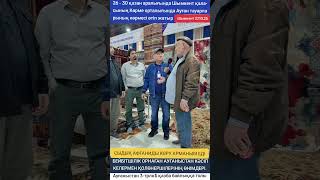 видео: БЕЙБІТШІЛІК ОРНАҒАН АУҒАНЫСТАН КӘСІП КЕЛЕРМЕН ҚОЛӨНЕРШІЛЕРІНІҢ ӨНІМДЕРІ картинка: БЕЙБІТШІЛІК ОРНАҒАН АУҒАНЫСТАН КӘСІП КЕЛЕРМЕН ҚОЛӨНЕРШІЛЕРІНІҢ ӨНІМДЕРІ