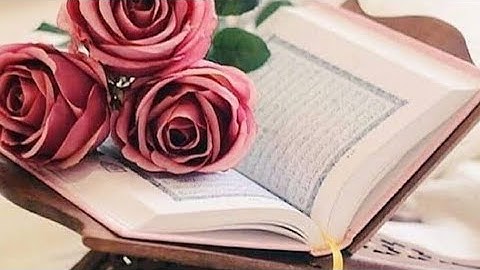 تلاوة رائعة من سورة فصلت بصوت الشيخ فتحي الحداد