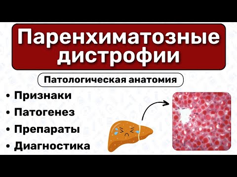 Паренхиматозная дистрофия: виды, патогенез, препараты / Патологическая анатомия