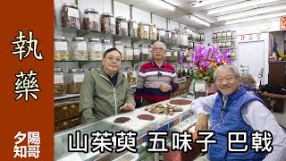 中藥篇 26｜良心執藥｜山茱萸 五味子 巴戟