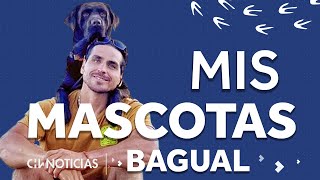 MIS MASCOTAS #3 | La historia de Bagual, el perro de Pangal - CHV Noticias