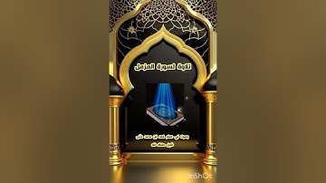 تلاوة سورة المزمل بصوت أبي همام فهد ابن محمد مثنى شبيل حفظه الله