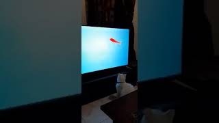 How My Cat Destroys Our Tv